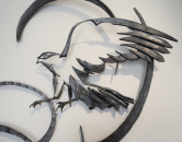 Falcon Landing Photo #2