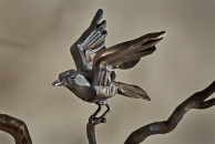Taking Flight Photo #2