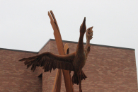 Soaring Free Photo #2